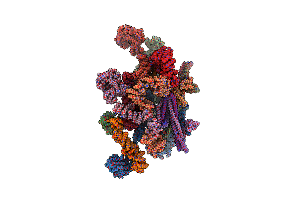 7PER image
