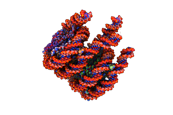 7PEV image