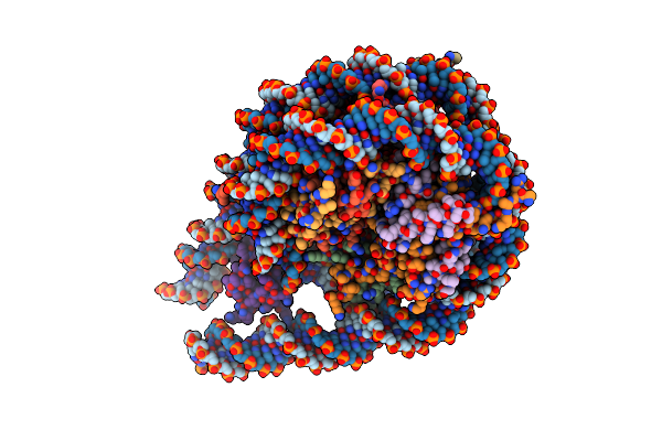 7PEX image