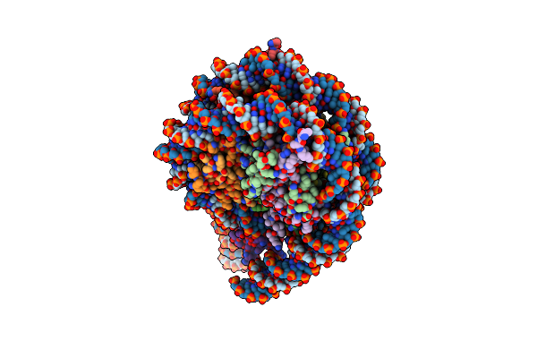 7PEZ image