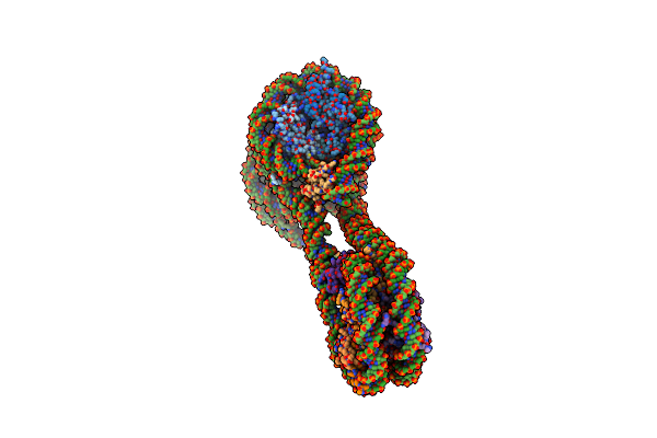 7PF0 image
