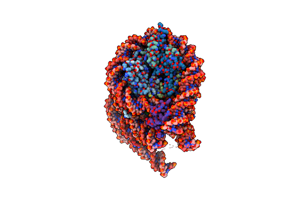 7PF2 image