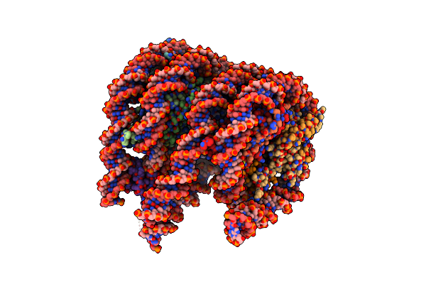 7PFC image