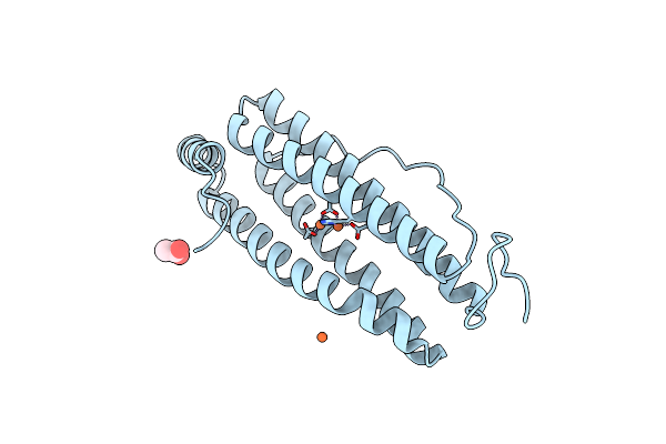 7PFH image