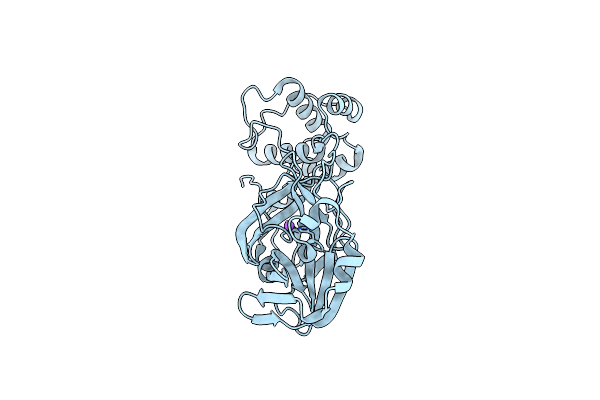 7PFL image