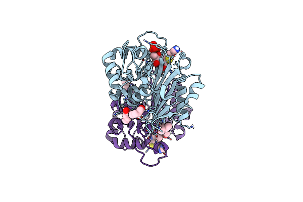 7PFN image