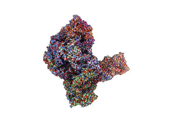 7PFO image