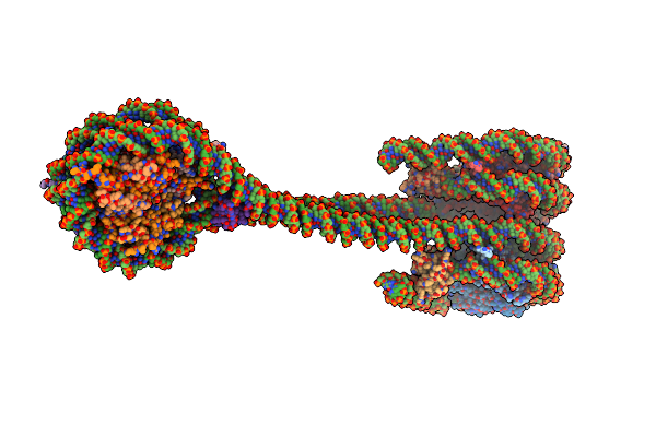 7PFT image