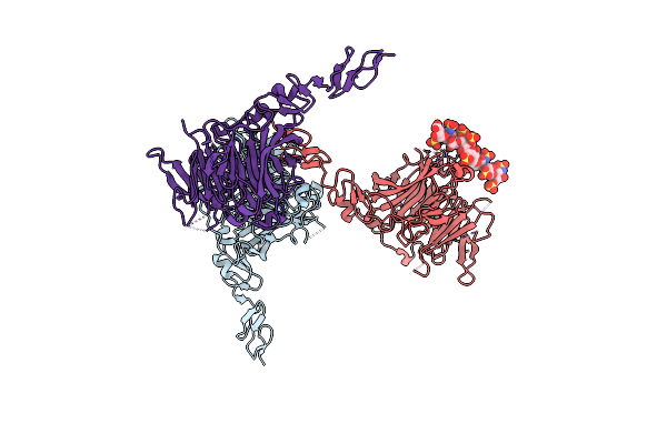 7PGM image