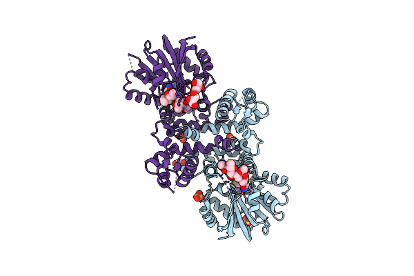 7PHD image