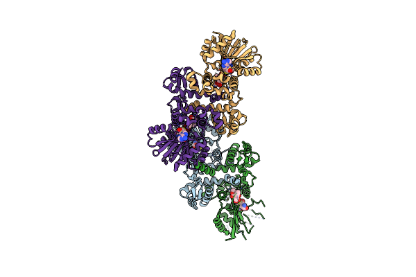 7PHF image