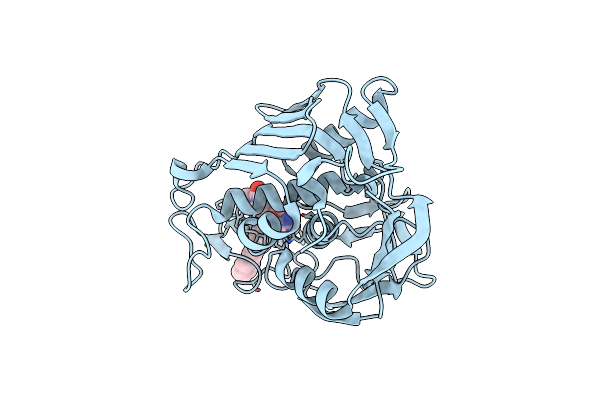 7PHJ image