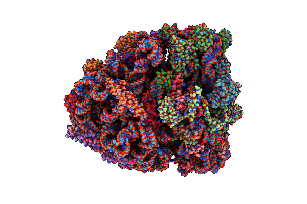 7PIB image