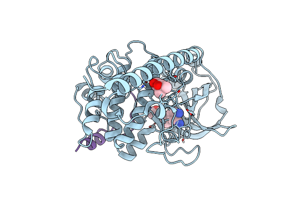 7PID image