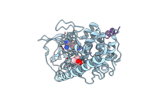 7PIF image