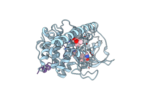 7PIH image