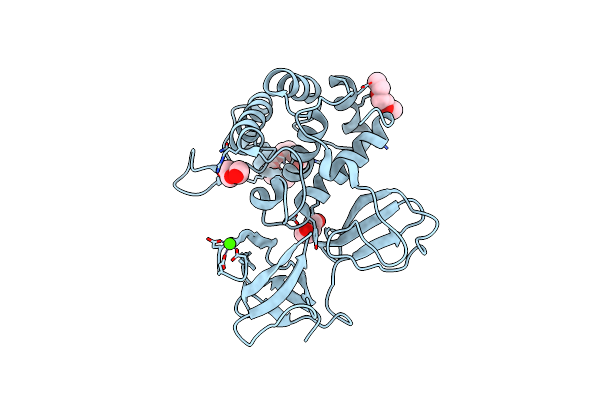 7PJ3 image