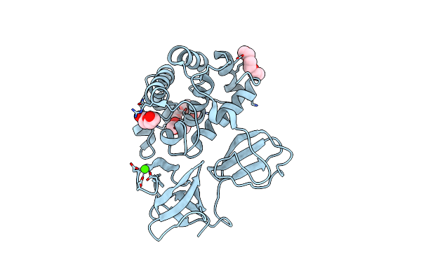 7PJ4 image