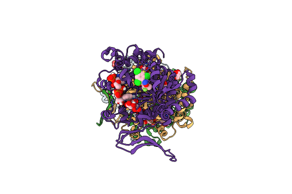 7PJN image