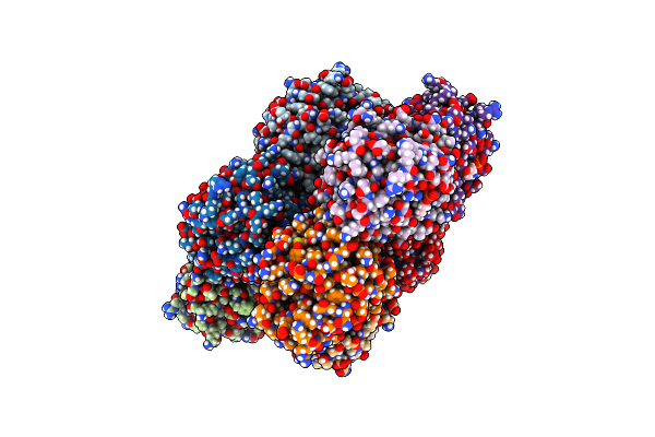 7PKD image