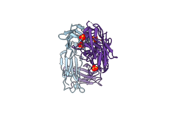 7PKL image
