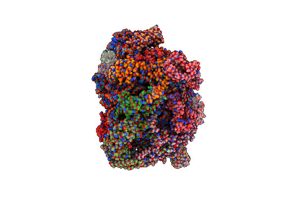 7PKT image