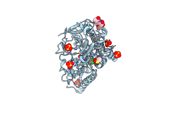 7PKV image