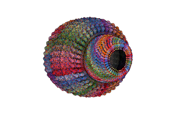 7PKZ image