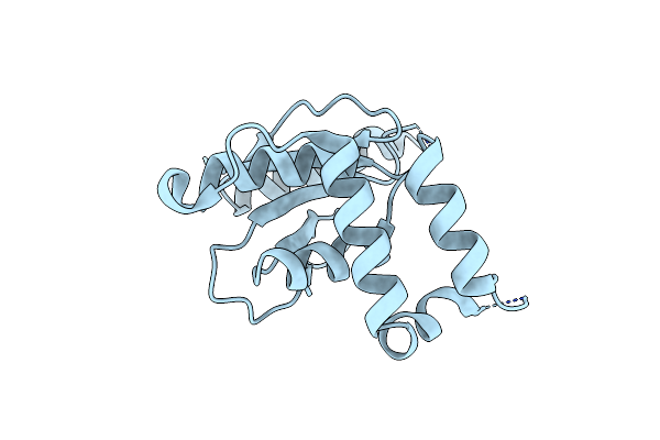 7PL7 image