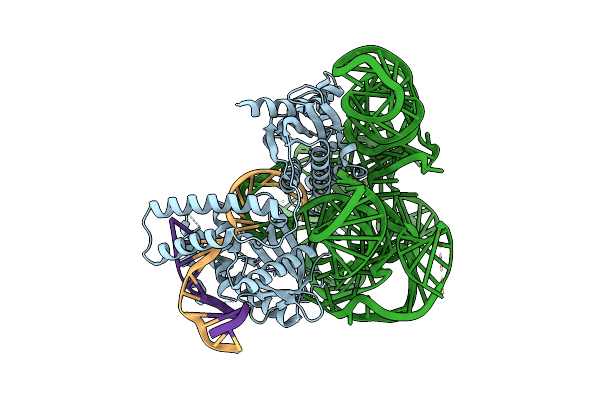 7PLA image