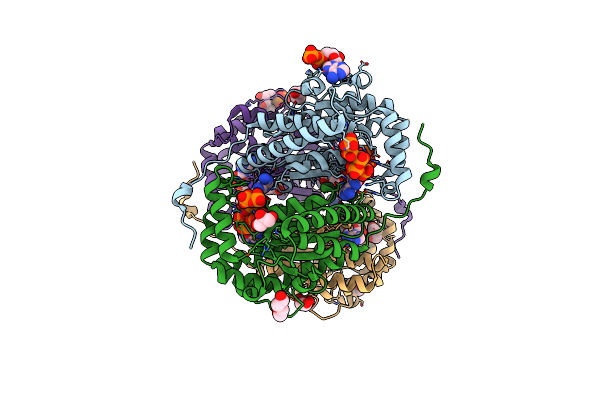 7PLJ image