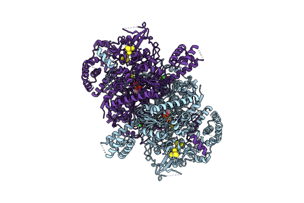 7PLM image