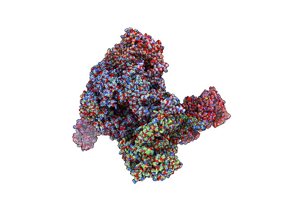 7PLO image