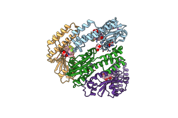 7PLR image