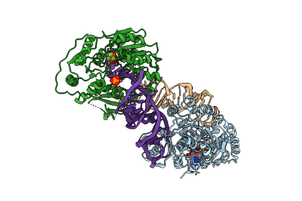 7PMM image