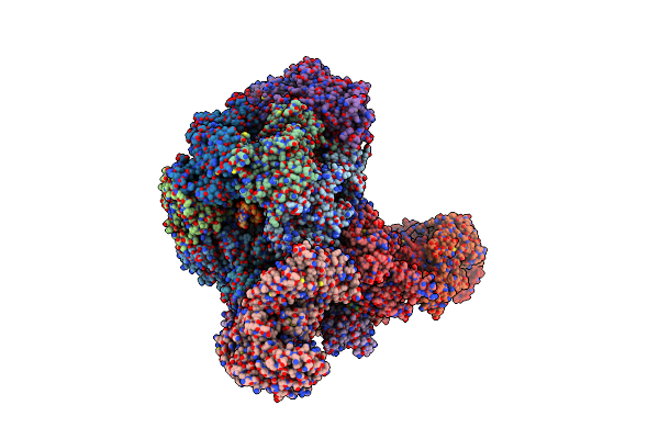 7PMN image