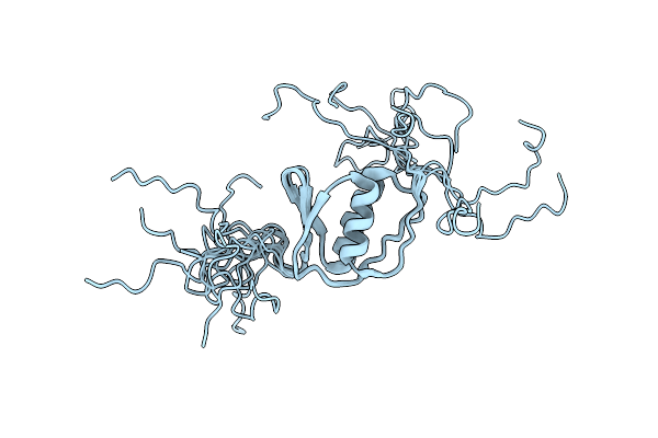 7PMP image
