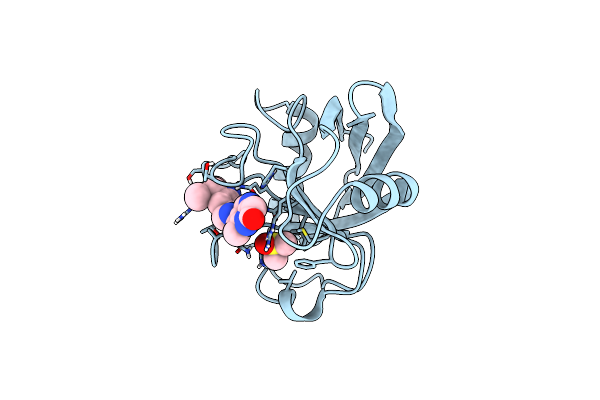 7PMT image