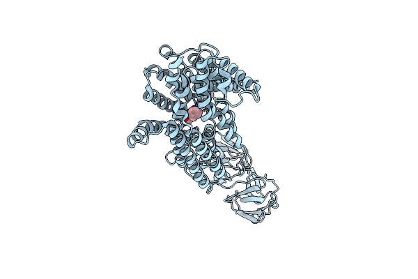7PMW image