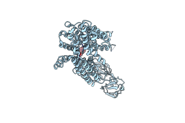 7PMX image