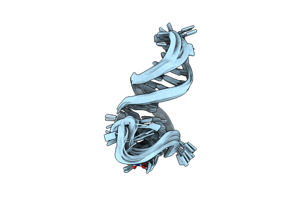 7PNE image