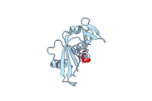 7PNJ image