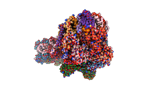 7PNK image