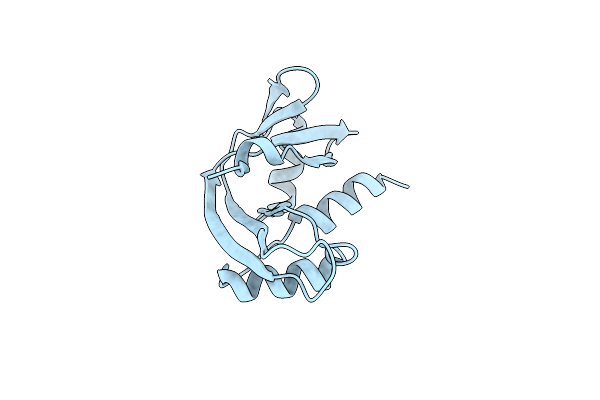 7PNP image