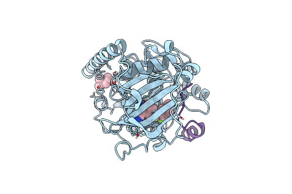 7PNS image