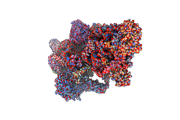 7PNV image