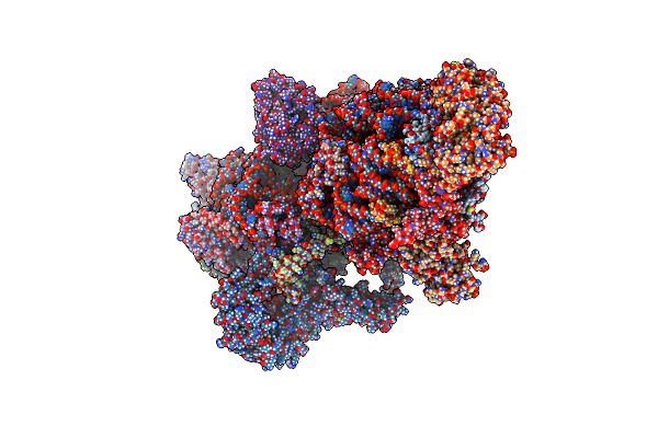 7PNX image
