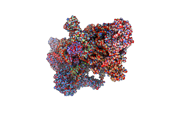 7PO2 image