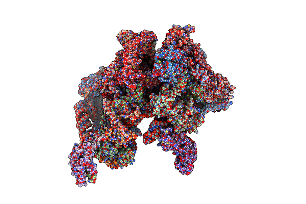 7PO4 image