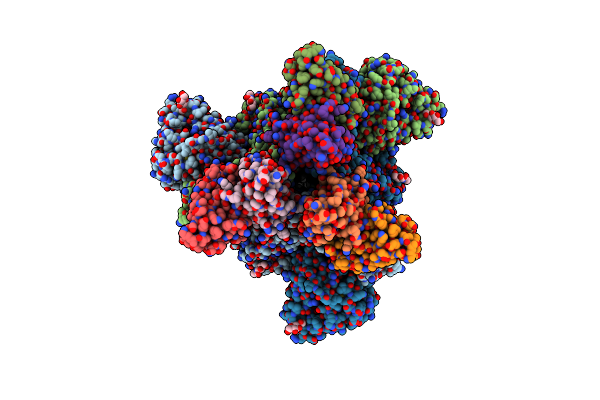 7PO5 image